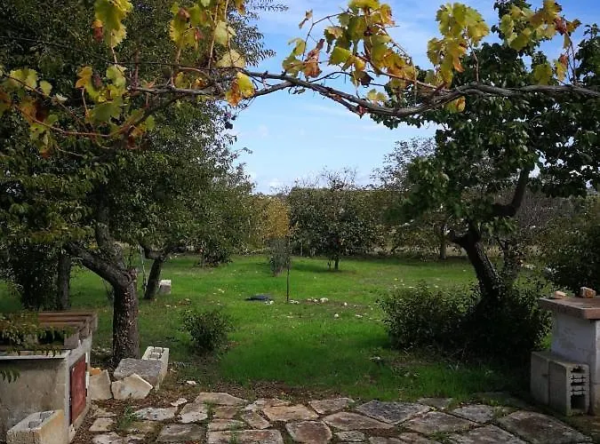 Trullo Raggio Di Luce לינה וארוחת בוקר